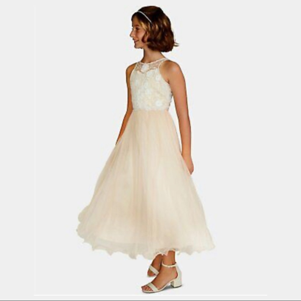 Rare Editions Big Girls Embroidered Mesh Gown